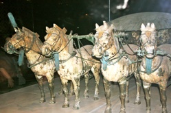 Restored chariots and horses now on display in the museum